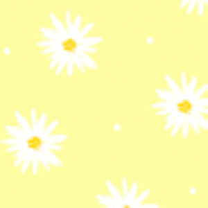 Meet your Posher, Kadison